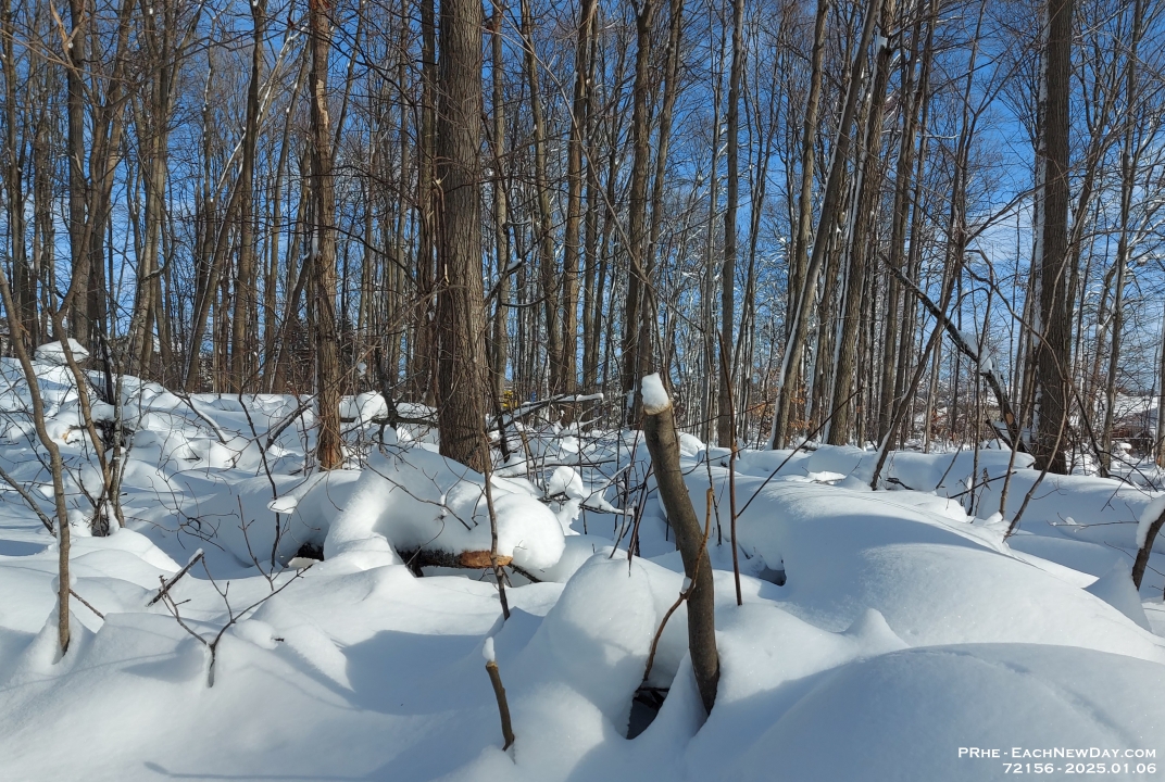 72156Ro - Walking along a snowy trail in Westridge Park